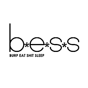 BESS logo