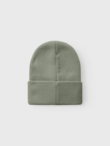 130910 Beanie 282315 Seagrass