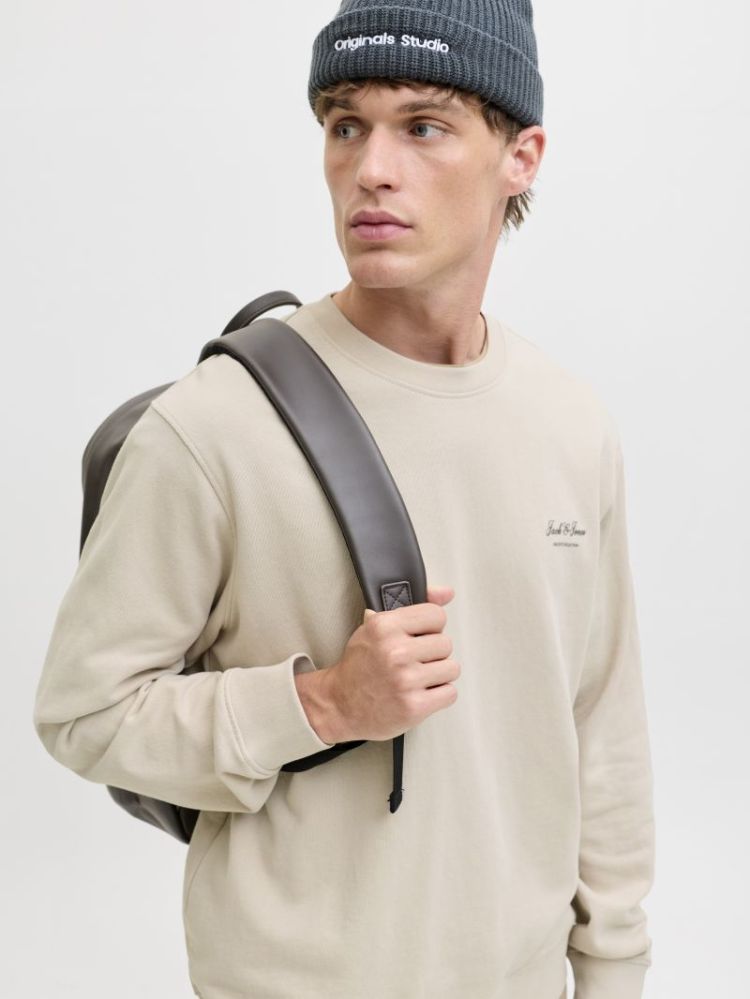 111110 Sweatshirt 176631 Moonbeam