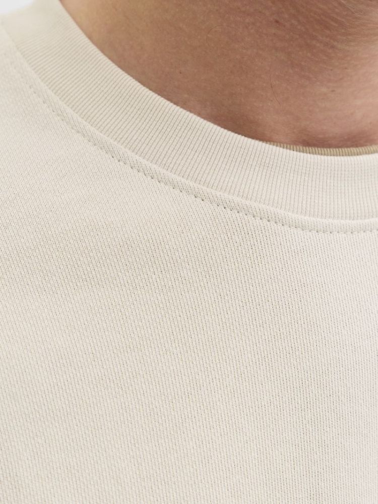 111110 Sweatshirt 176631 Moonbeam
