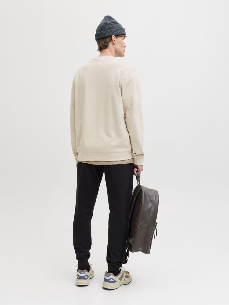 111110 Sweatshirt 176631 Moonbeam