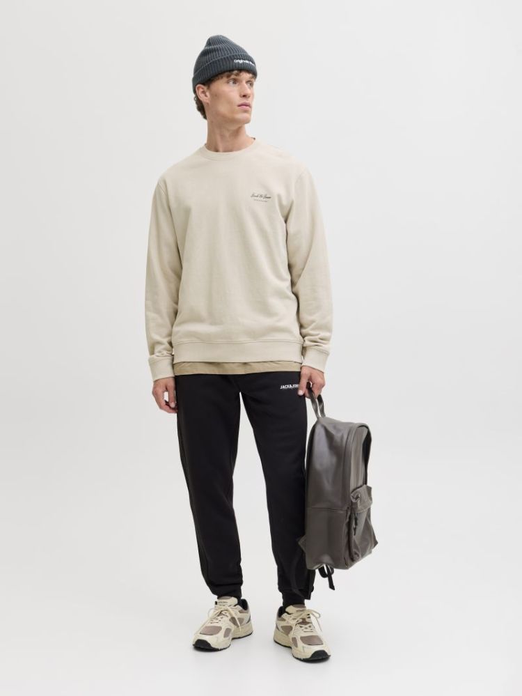 111110 Sweatshirt 176631 Moonbeam
