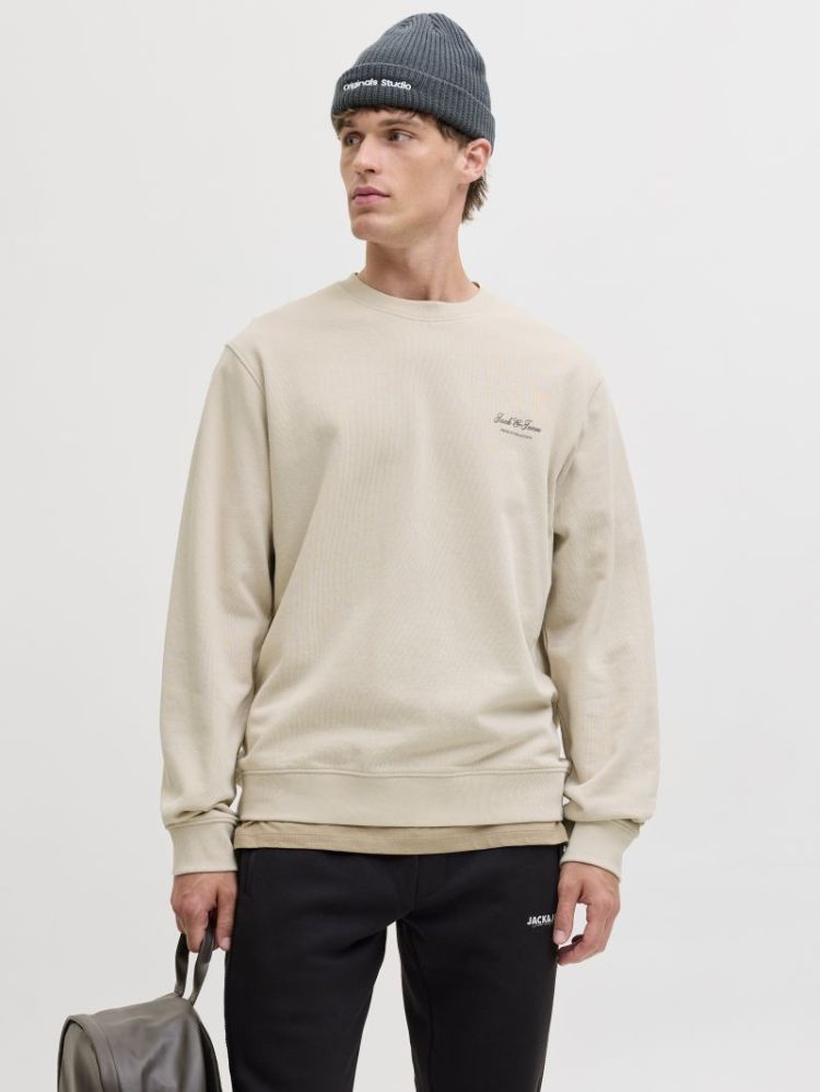 111110 Sweatshirt 176631 Moonbeam