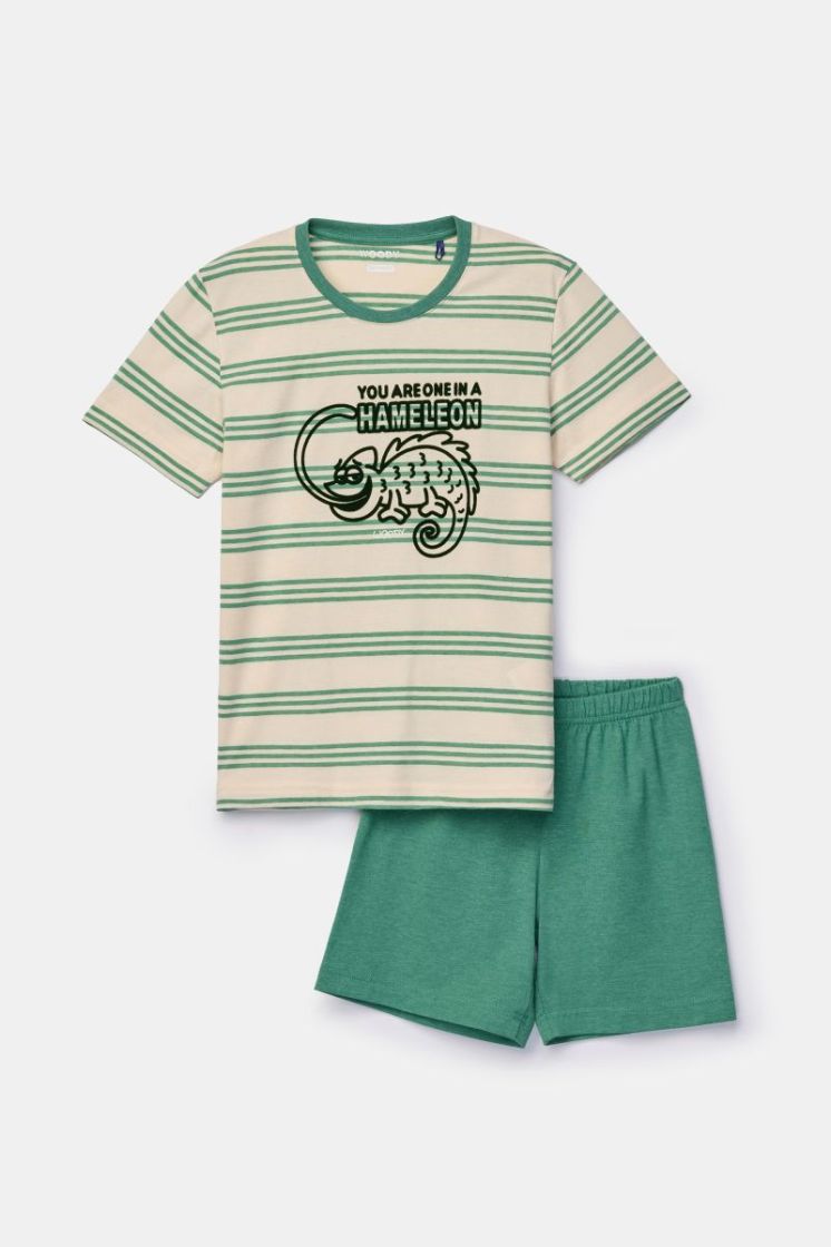 Jongens-Heren pyjama 909 groen gestr
