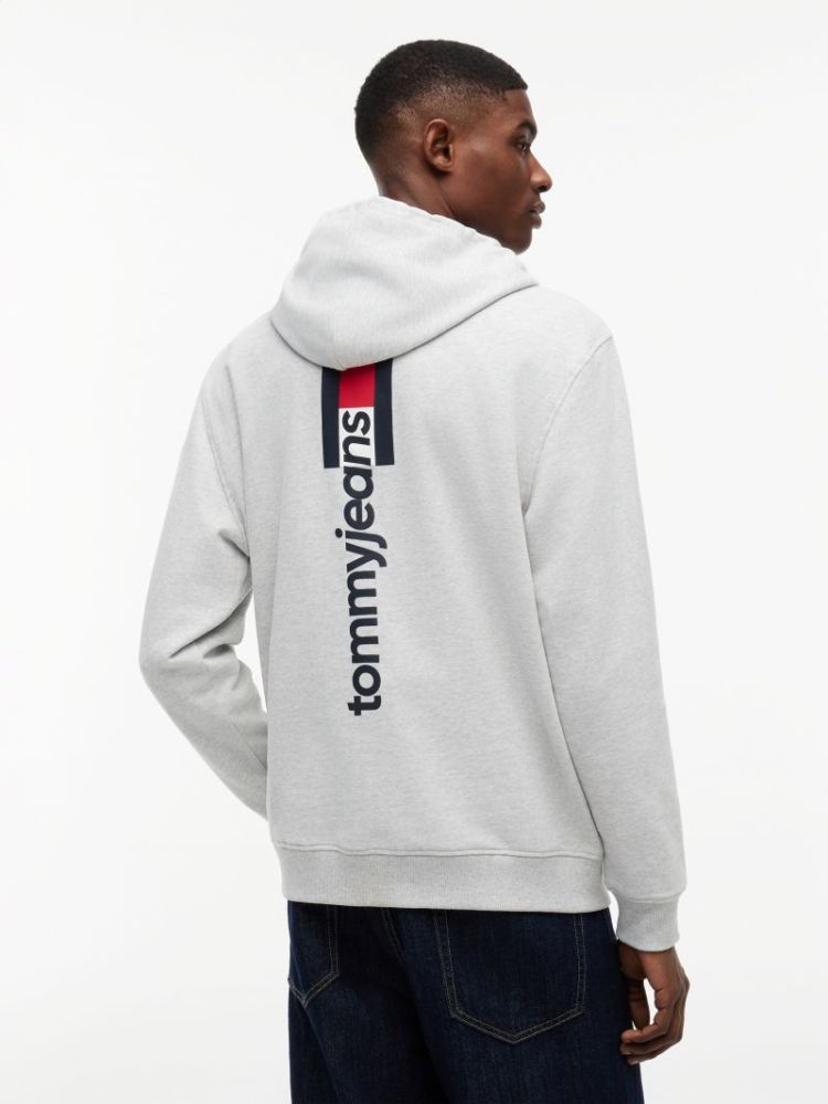 H TJM REG ENTRY DNA HOODIE P08 ICE GREY HE