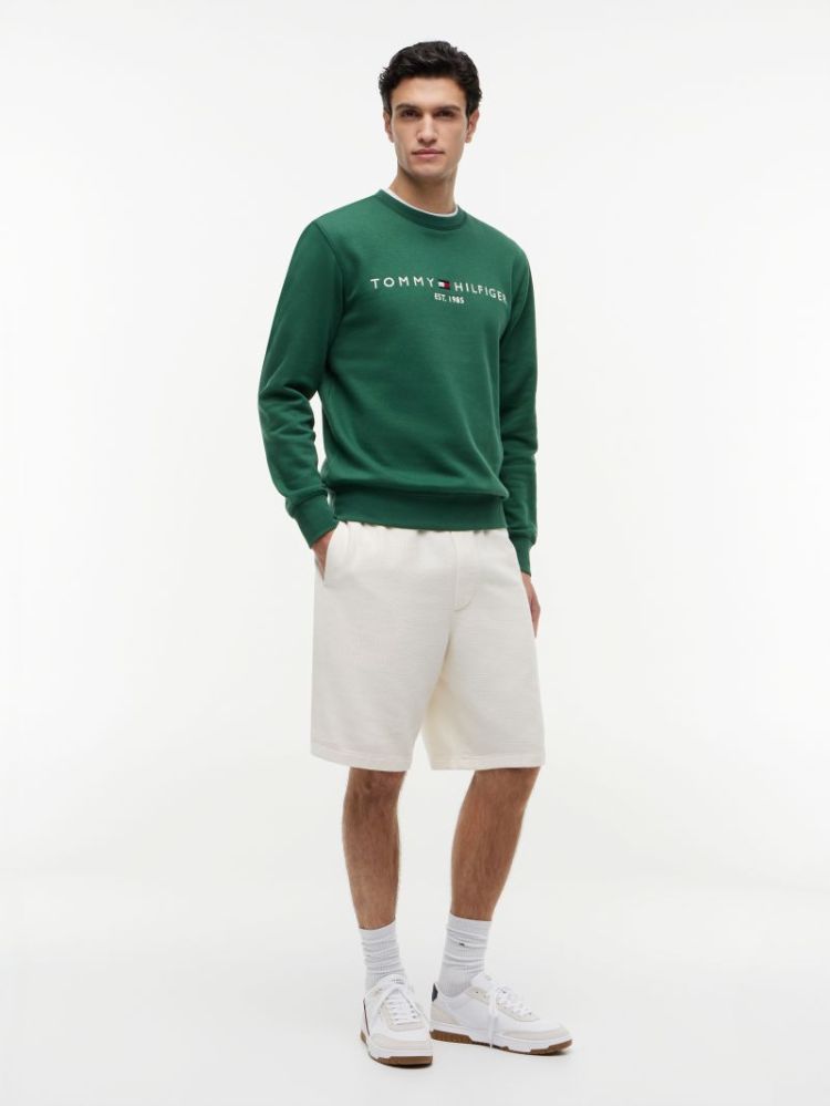 H TOMMY LOGO SWEATSHIRT L2N STREET GREE
