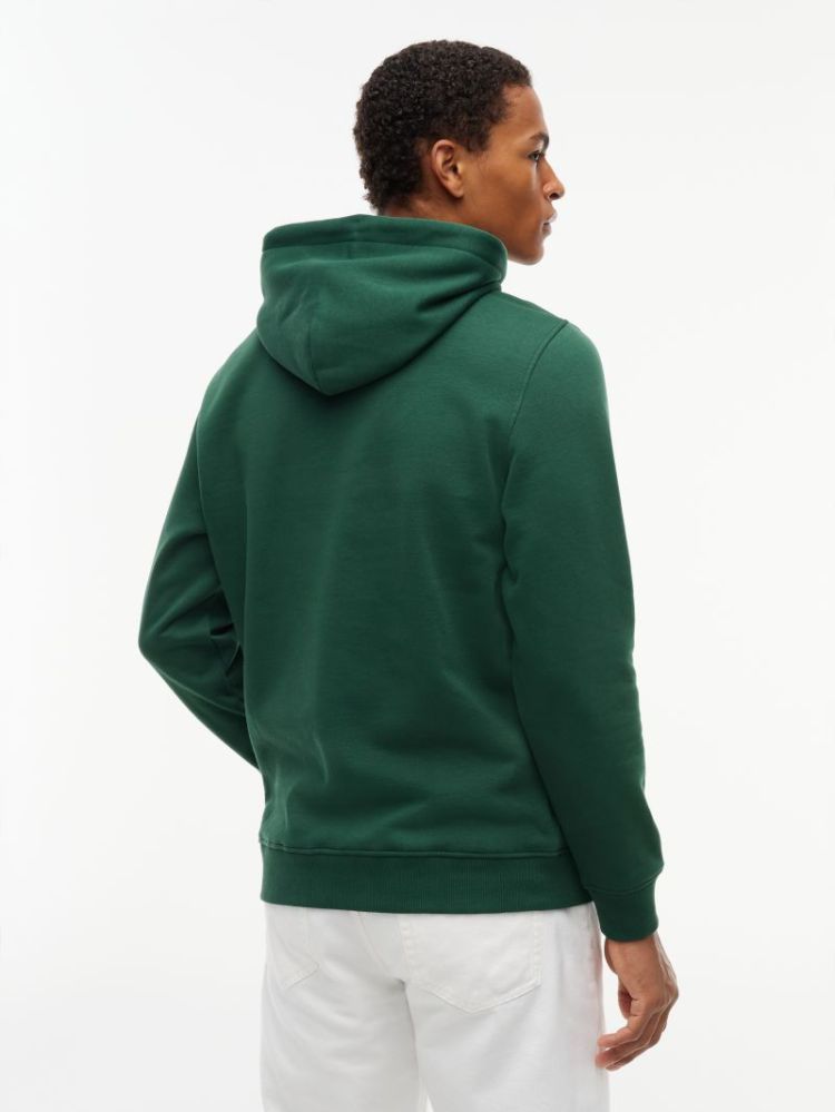 H TJM REG LINEAR LOGO HOODIE MBM VELVET GREE