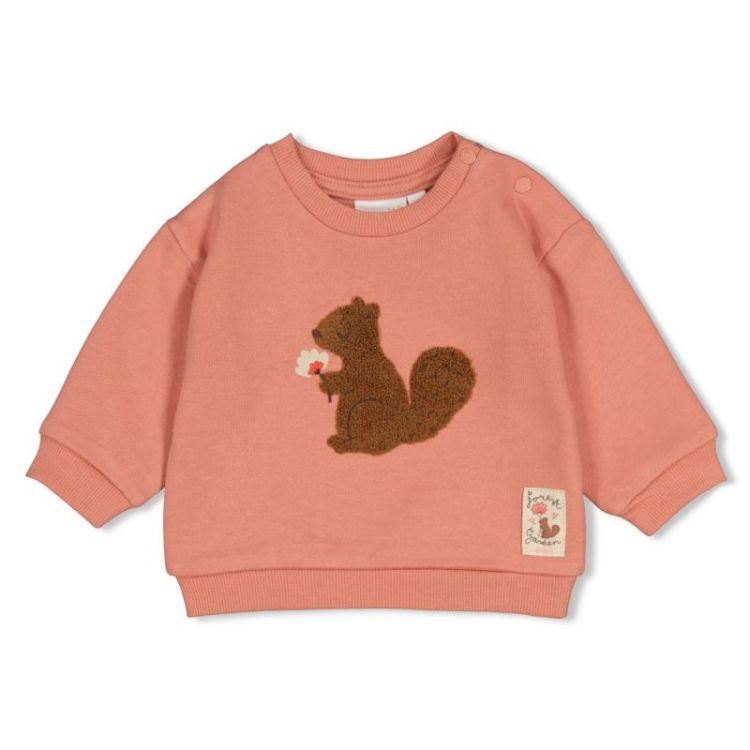 BM SWEATER OVERS FORREST GARDE 150 ROZE