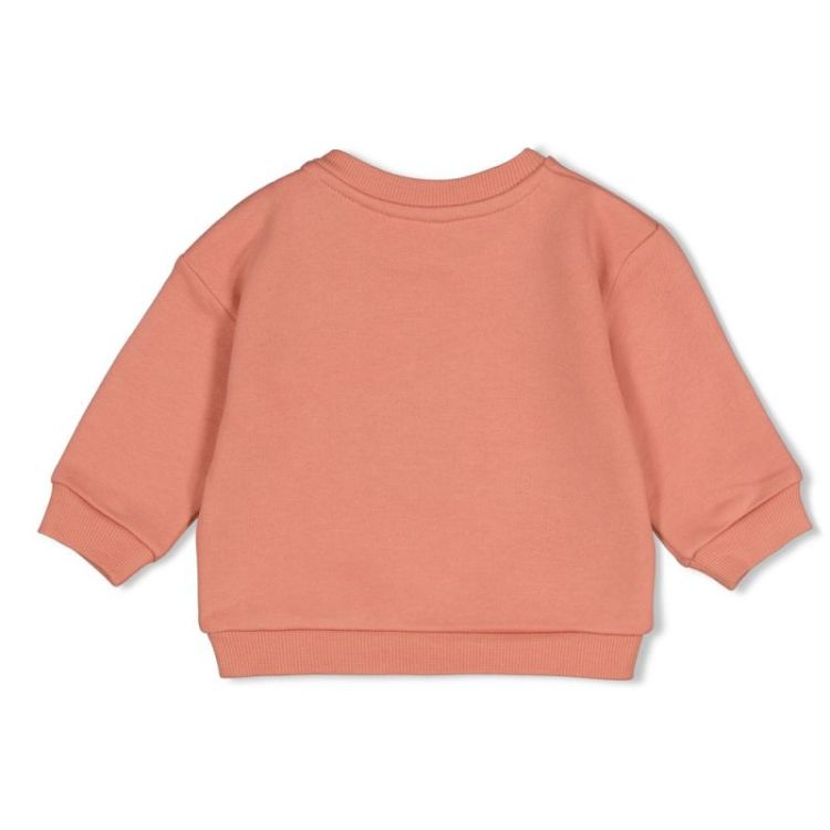 BM SWEATER OVERS FORREST GARDE 150 ROZE