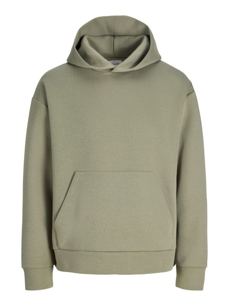 111110 Sweatshirt 176725 Vetiver