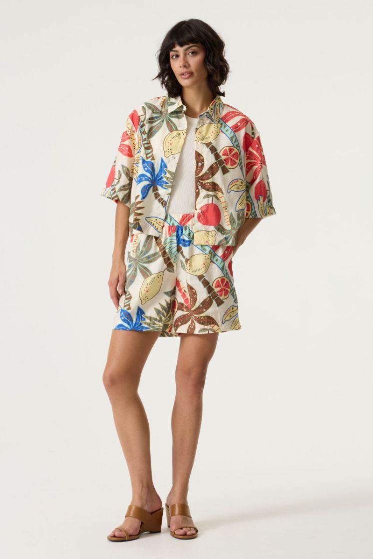 123110 07 [short sleeve] 2082 turtledove