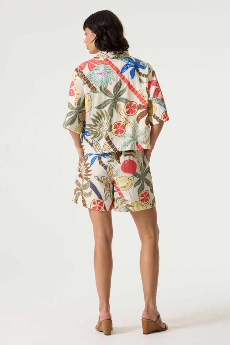 123110 07 [short sleeve] 2082 turtledove