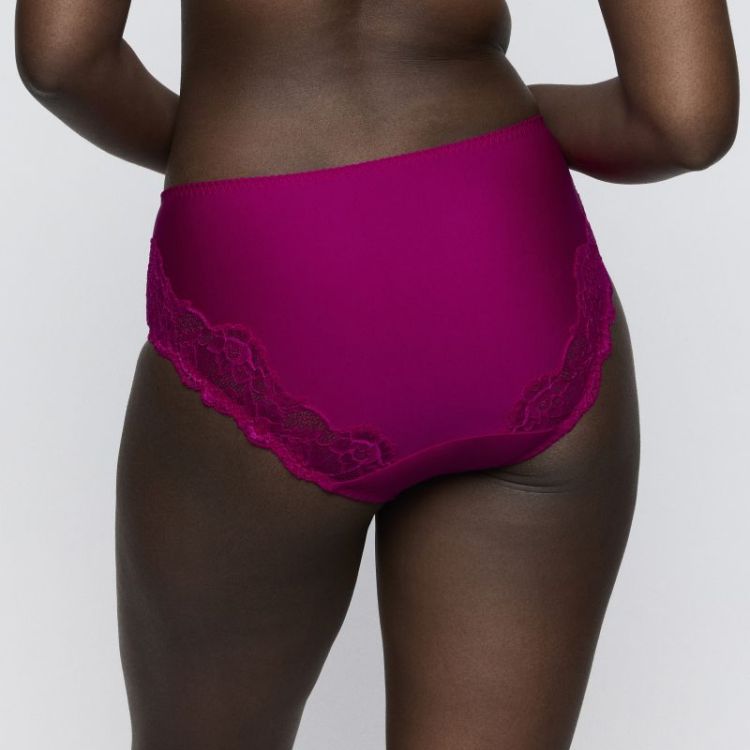 124223 5 WIR wild rose