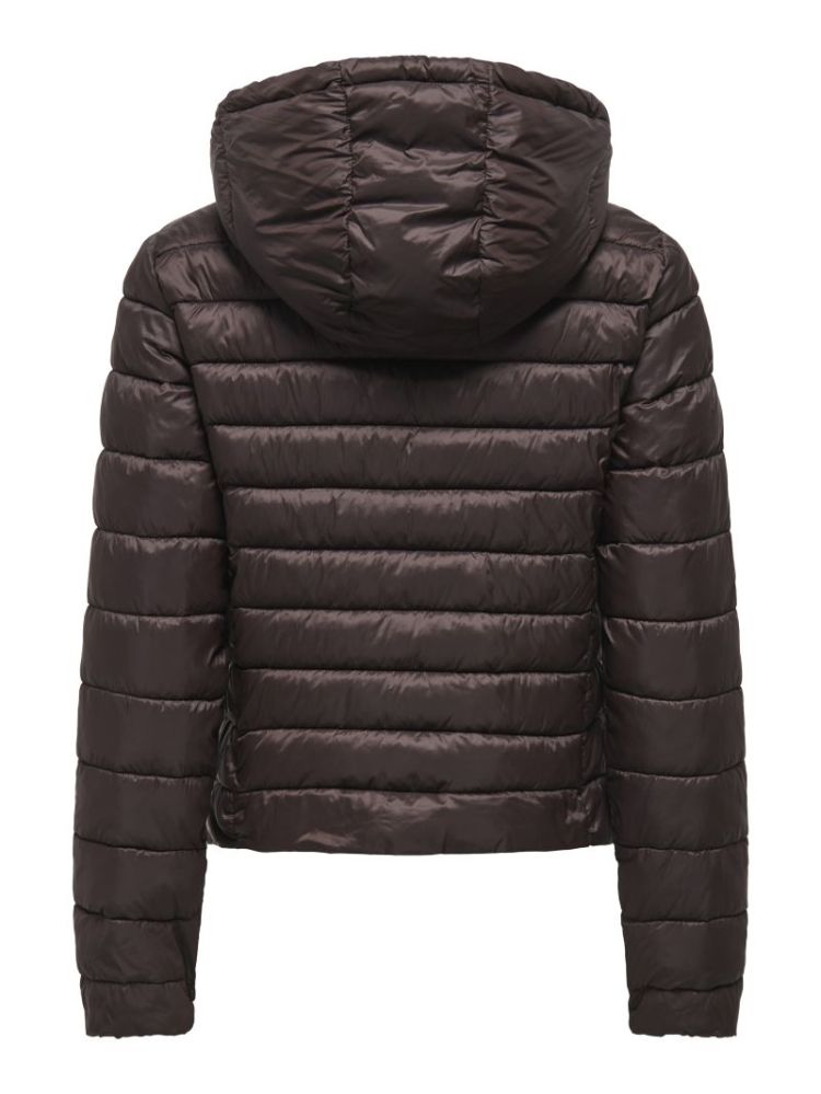 120510 Jacket 237375 Coffee B