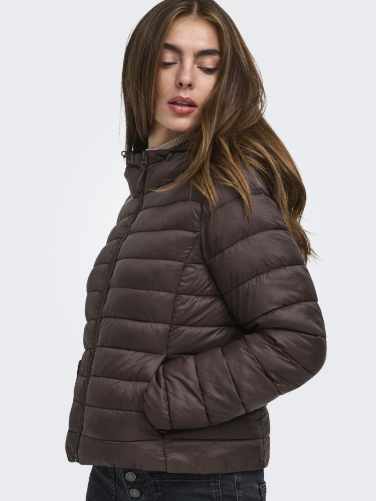 120510 Jacket 237375 Coffee B