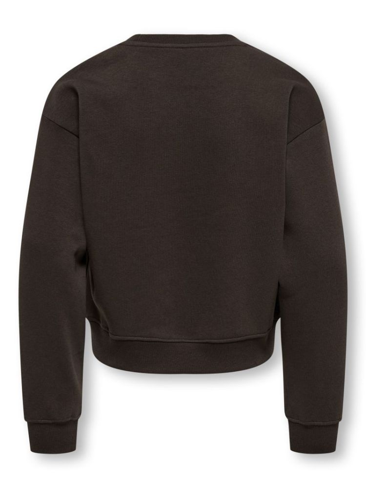 130330 Sweatshirt 237375006 Coffe