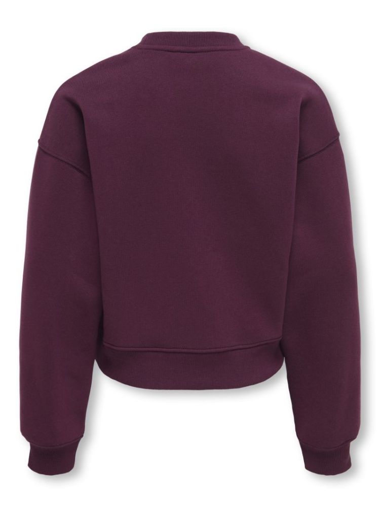 130330 Sweatshirt 177912 Fig