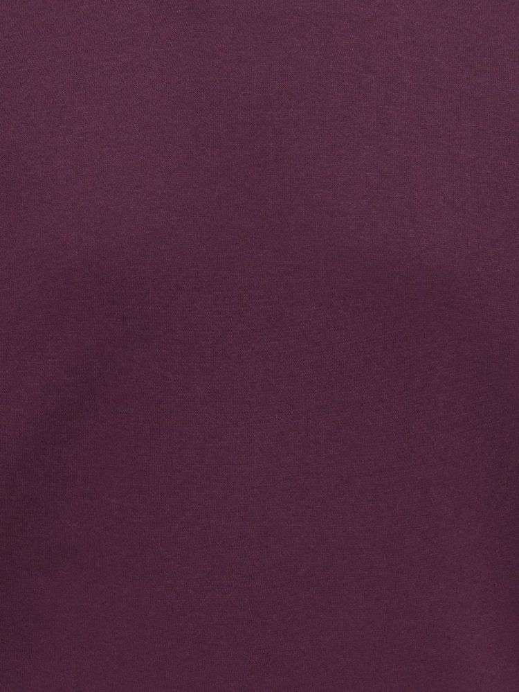 130330 Sweatshirt 177912 Fig