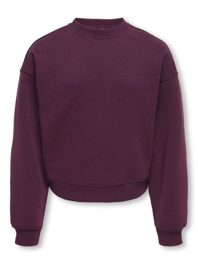130330 Sweatshirt 177912 Fig