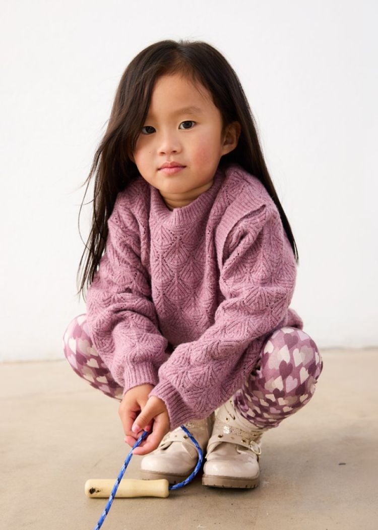 Sweater 52 violet mix