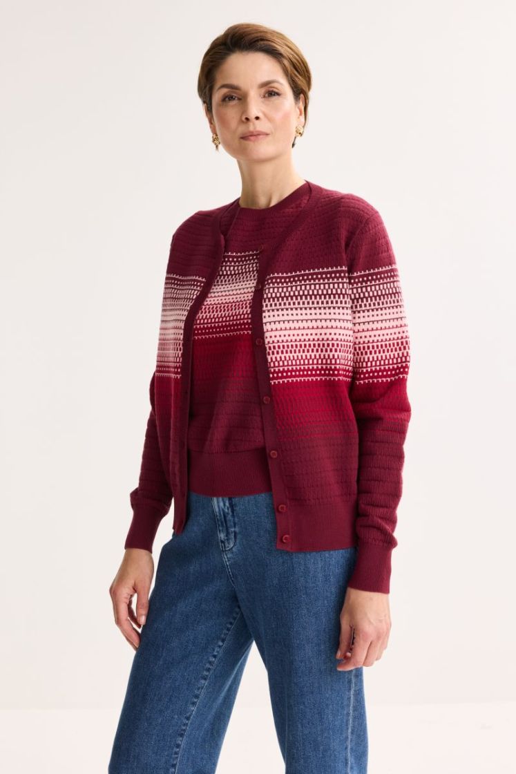 104010 Cardigan knitwear [1225 596 SYRAH