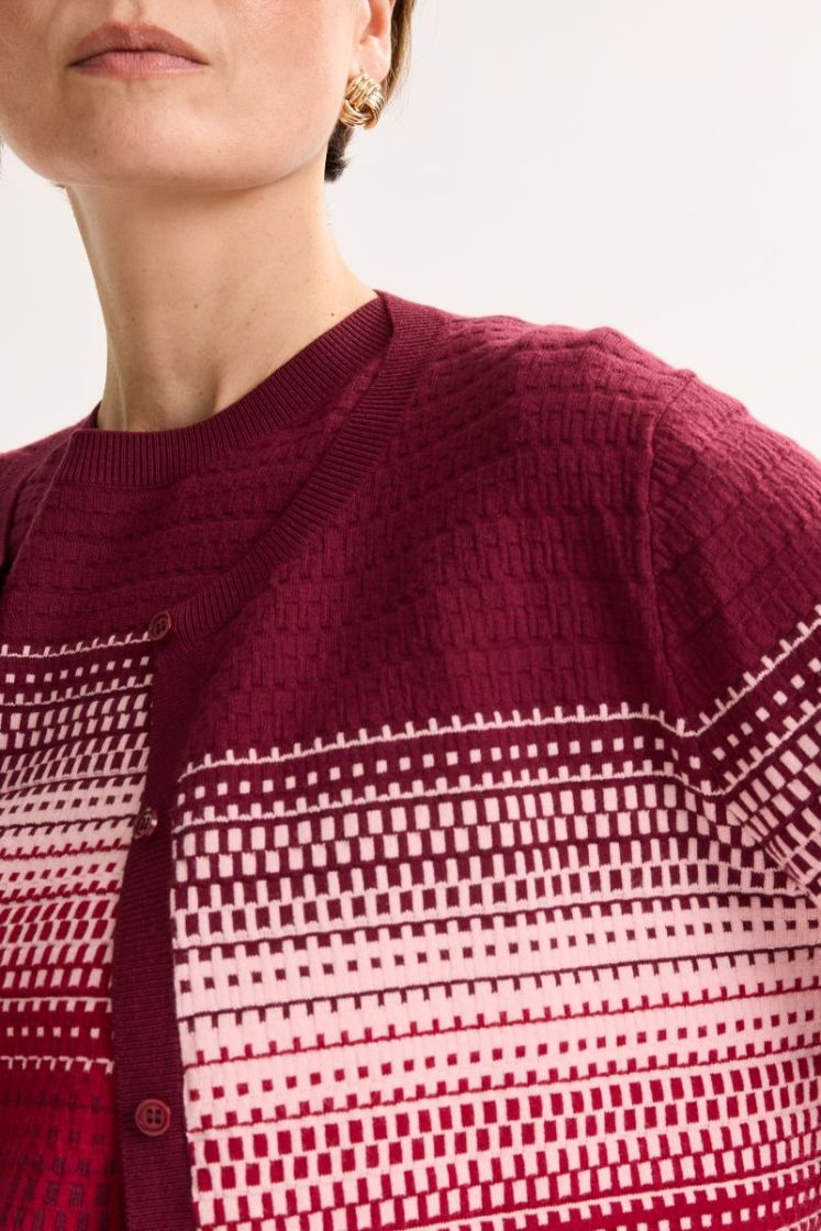 104010 Cardigan knitwear [1225 596 SYRAH