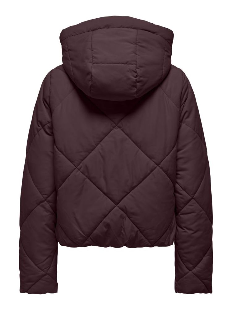 120510 Puffer 184723 Fudge
