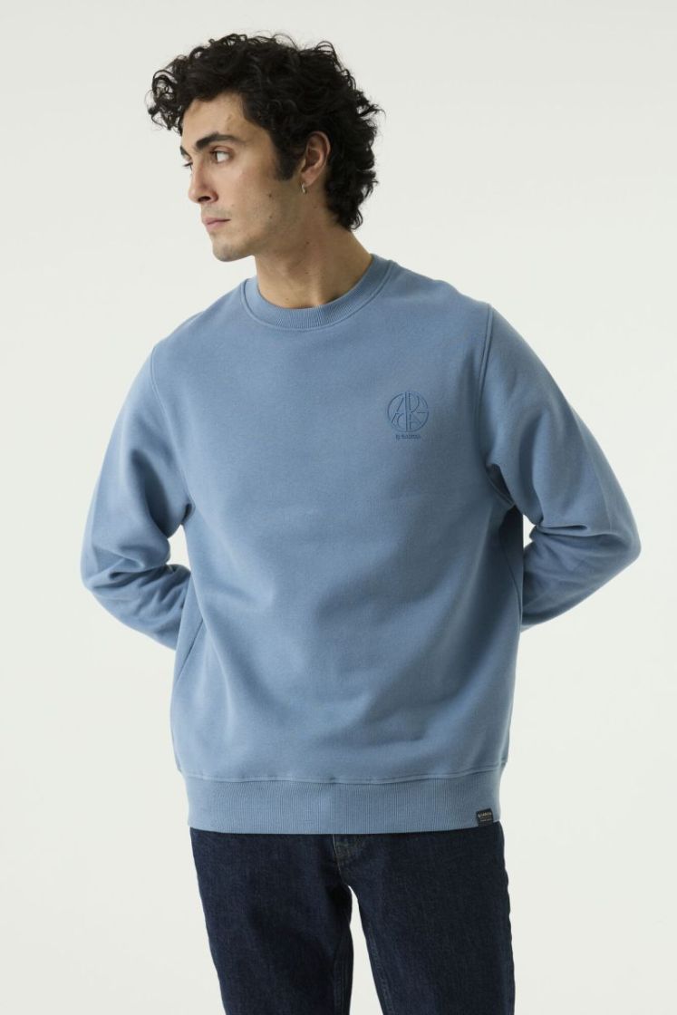 113060 10 [er] 4178 smokey blu